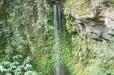 Hawaii Zipline Tours